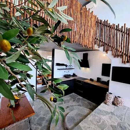 Casa Noe 아파트 *